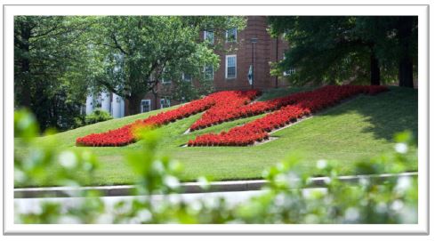 University of Maryland lawn with red M in flowers