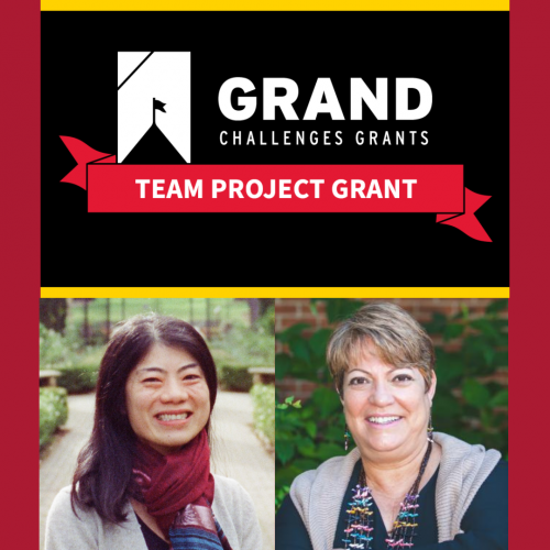 gc-team-project-grant