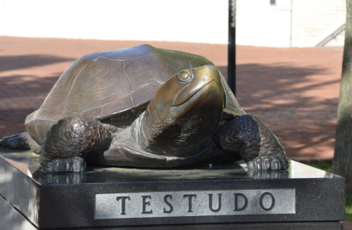 Testudo Statue in the sun