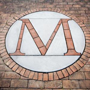 UMD "M" in bricks