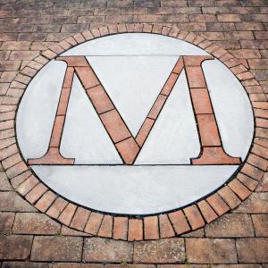 UMD "M" in bricks 