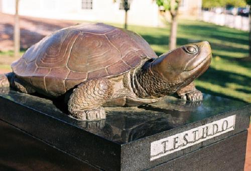 Testudo