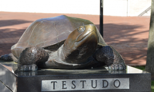 Testudo Statue in the sun